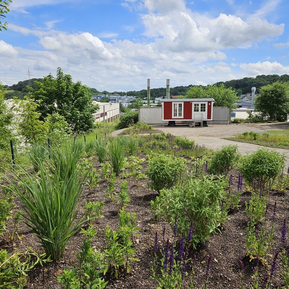 The picture shows a garden with a landscaped path. A red construction trailer can be seen in the background. The weather is sunny with a blue sky and a few white clouds.